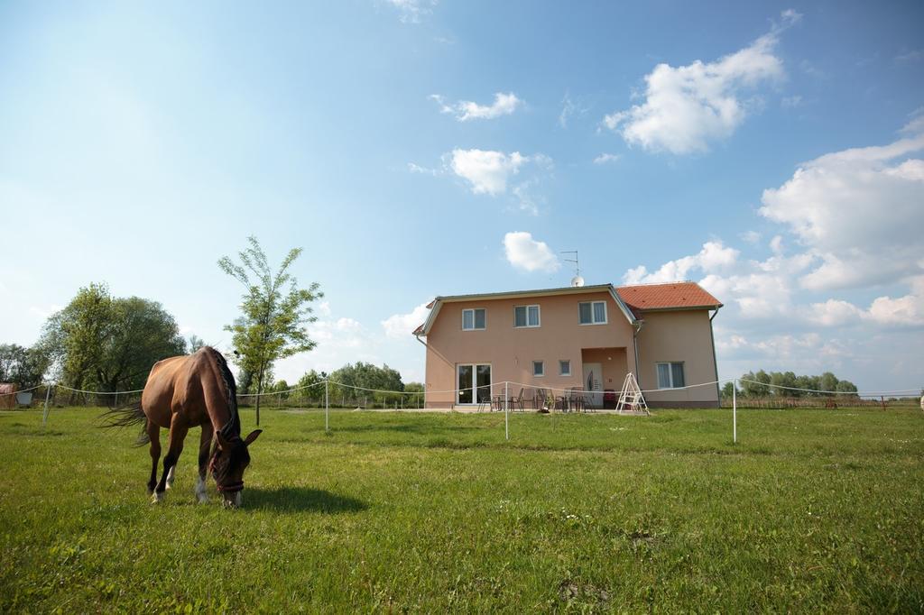 Guesthouse Capistro Bilje Dış mekan fotoğraf